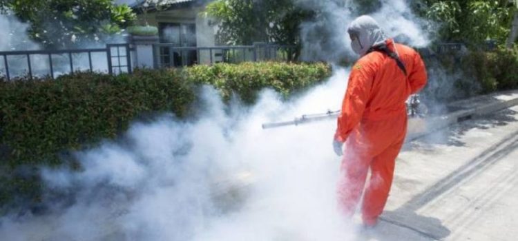 Disinfestazione: Messinaservizi Bene Comune dal 6 all’8 ottobre eseguirà il 3 ciclo contro zanzare tigre, zanzare, blatte nella zona Nord della città. Disinfestazione: Messinaservizi Bene Comune dal 6 all’8 ottobre eseguirà il 3 ciclo contro zanzare tigre, zanzare, blatte nella zona Nord della città.